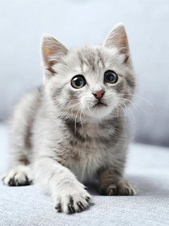 【隣の奥様・和歌山店】の特徴をご紹介♪♪