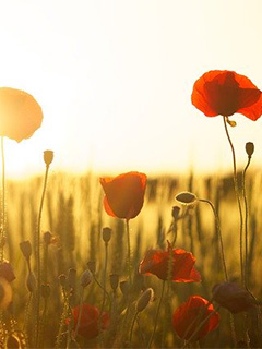 不安な貴女にぴったり！！ 0円で帰ることはまずありません！