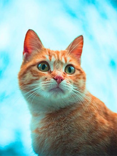 ゆっくり待機室で睡眠までできちゃいますよ～！！