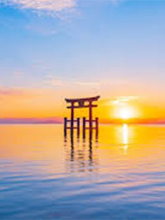 ゆっくり待機室で睡眠までできちゃいますよ～！！